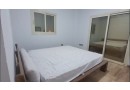 shalyh-llbyaa-fy-alryf-alaoroby-tshtyb-sobr-loks-small-4