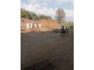 ارض مباني