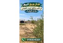fdan-orbyaa-llbyaa-fy-alryf-alaoroby-bmntk-oah-alzhraaa-small-0